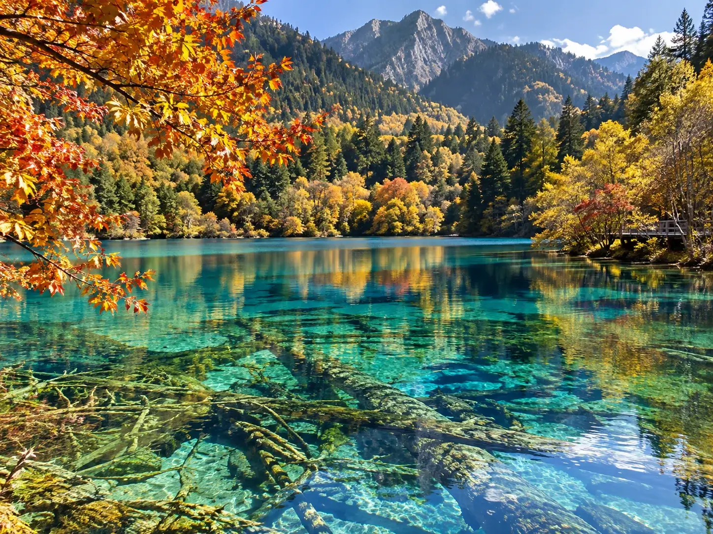 Five Flower Lake in Jiuzhaigou with crystal clear turquoise water, submerged tree trunks, surrounding autumn forest and mountain reflections