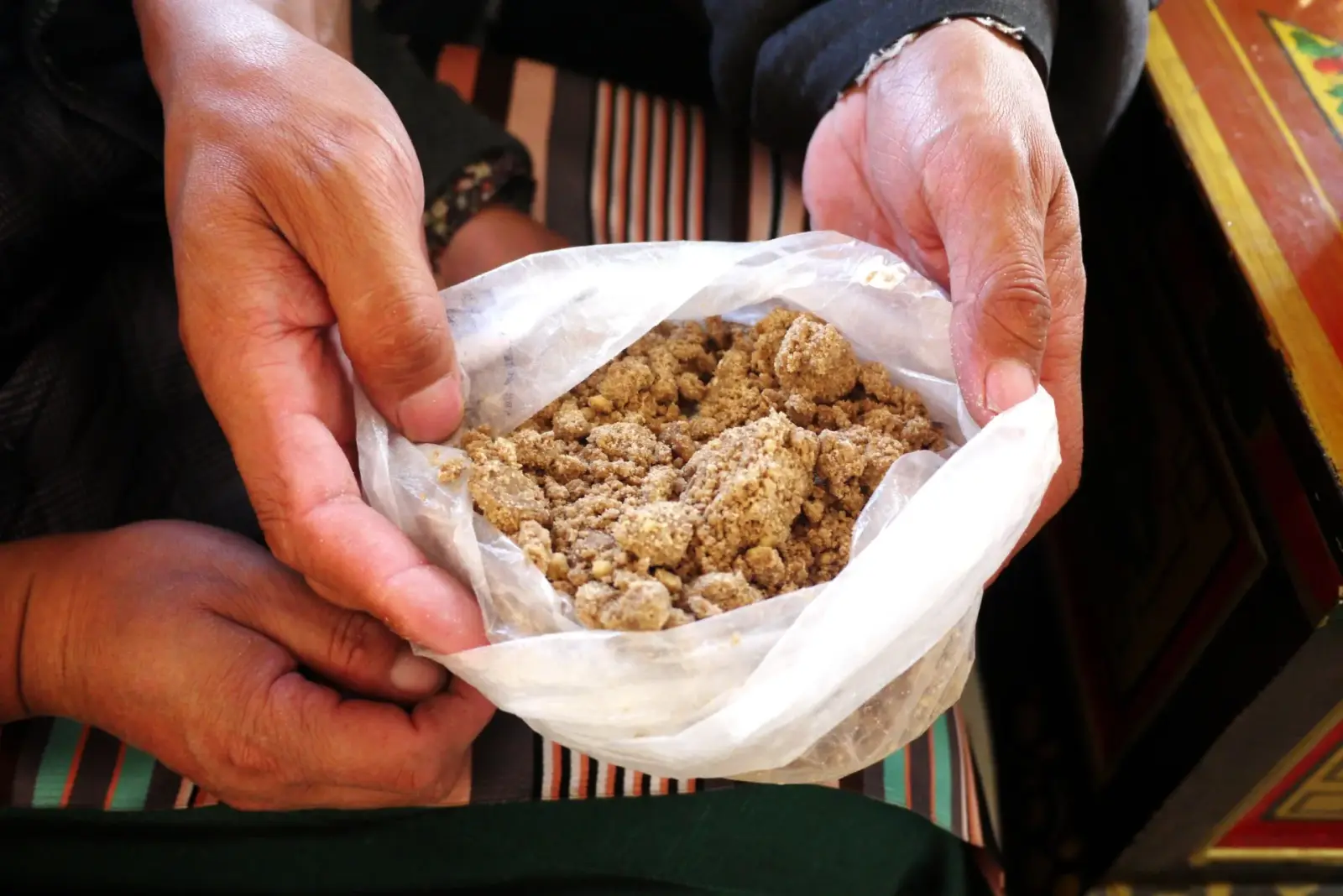 Hands holding roasted barley flour (tsampa) in a paper wrap, the traditional Tibetan staple being prepared