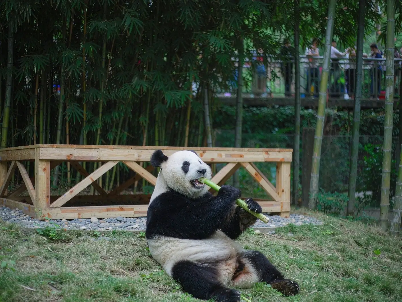 Chengdu World Heritage and youth creative expression