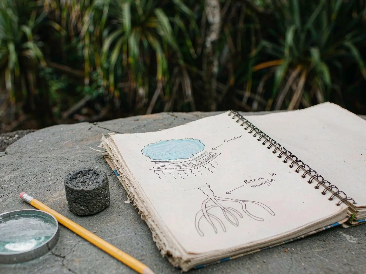 Island nature observation record