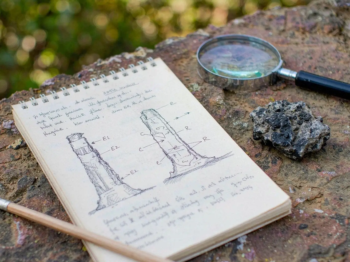 Natural and heritage observation record