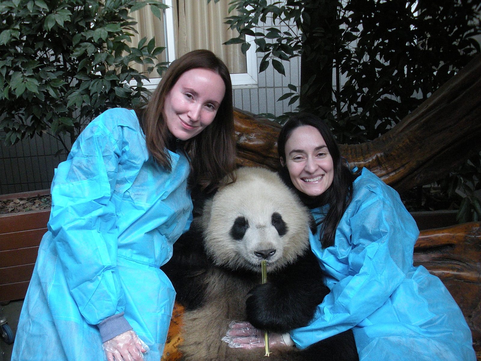 Two travelers hugging a giant panda at the Chengdu base