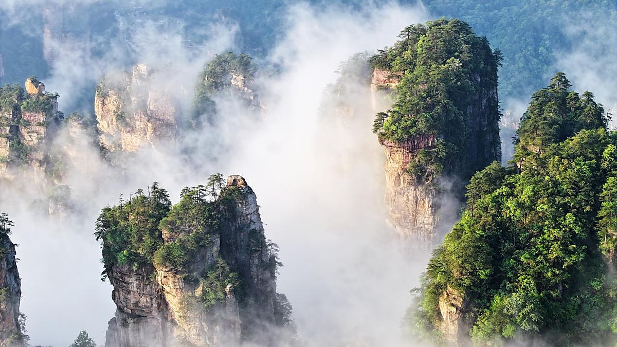 Zhangjiajie pillars in morning fog