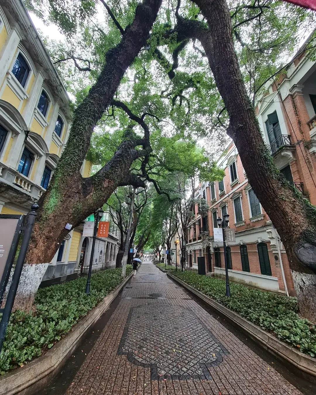 A tree-lined promenade among Shamian’s historic buildings