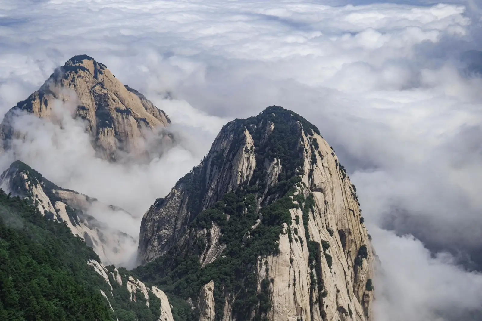 Mount Hua granite peaks rising above a sea of clouds