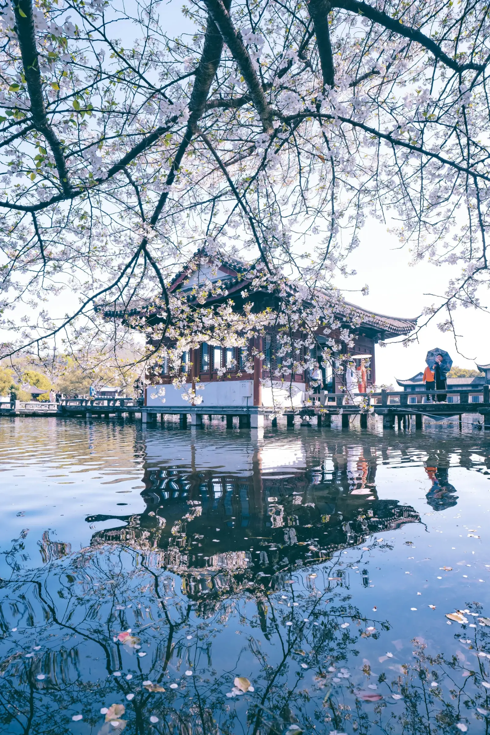 Seasonal blossoms beside a lakeside pavilion in Hangzhou