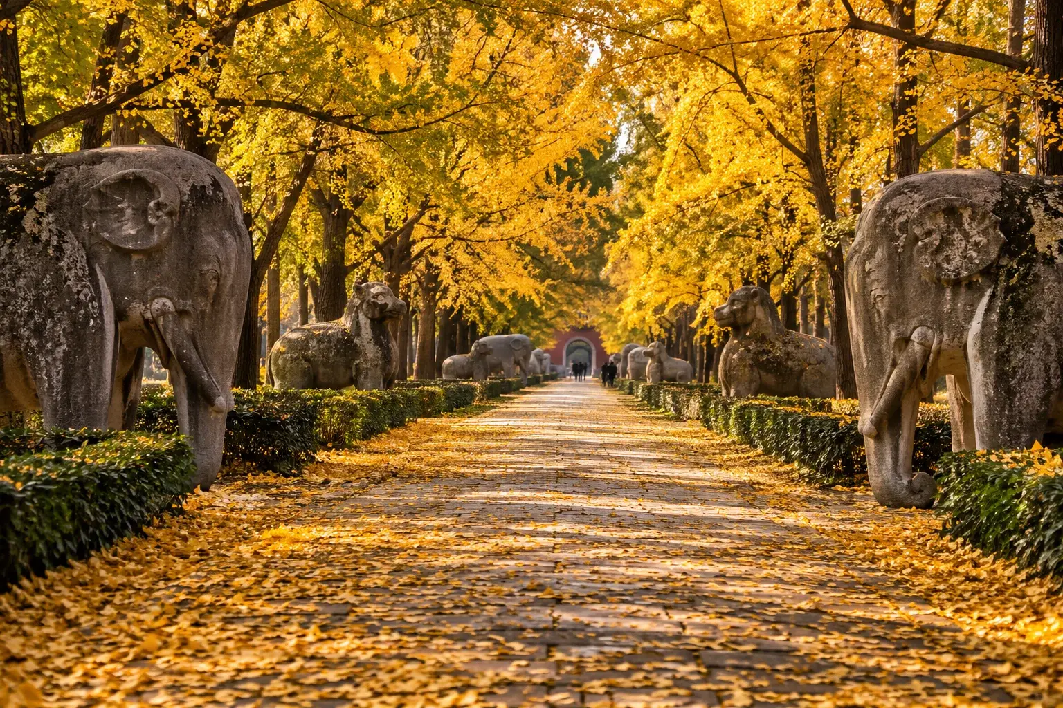 The stone statues and golden gingko avenue of the Ming Xiaoling Mausoleum in autumn