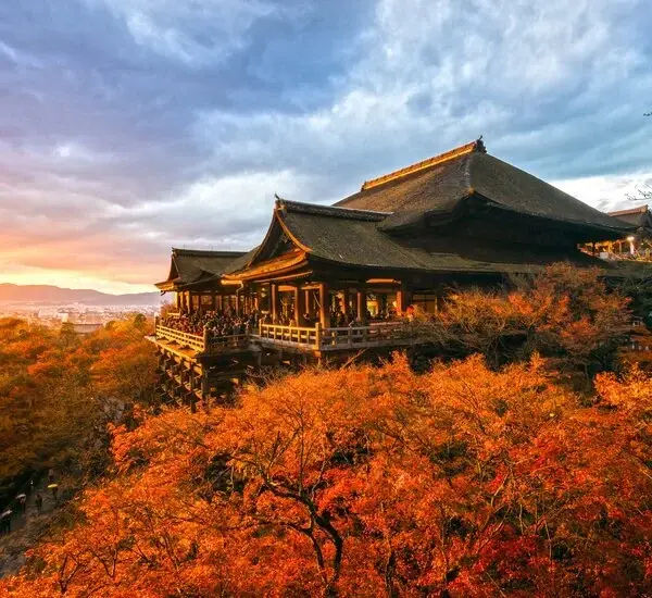16-Day Japan and China Discovery