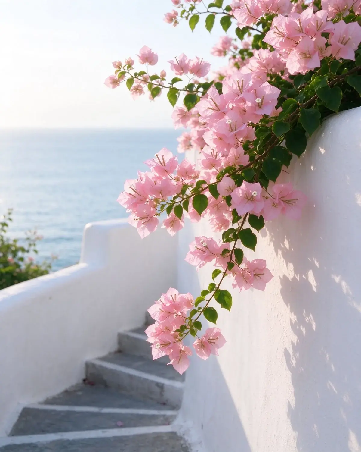 Yellow blossoms in Zhuhai